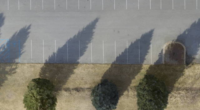 Dynamic Regularization